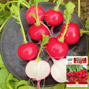'Ailuo' Cherry Radish Seeds, 10g