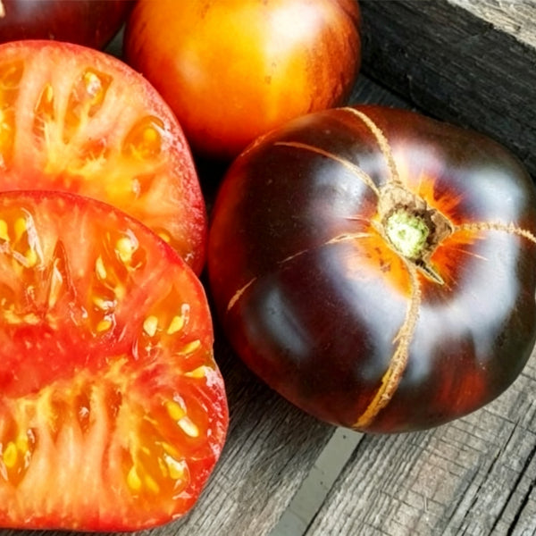 753 Blue Jolies Tomato, 5 Seeds