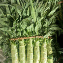 Erbai Pi Stems Lettuce Seeds, 10g