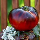 865 Galact Tomato, 5 Seeds