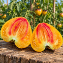 304 Strawberry Sergeant Orange F5 Tomato, 5 Seeds