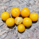 19 Bunny Hop Micro Dwarf Tomato, 5 Seeds