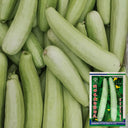 Ketian Brand White-Veined White Melon Seeds, 10g