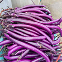 Hangzhou Red Eggplant Seeds, 10g