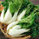 Dark-green-leafed Baby Bok Choy Seeds, 5 × 1k-seed Bags