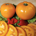 Amish Gold Tomato, 15 Seeds