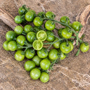 885 Green Doctors Frosted Tomato, 5 Seeds