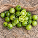 885 Green Doctors Frosted Tomato, 5 Seeds