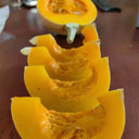 Jinyu 888 Pumpkin