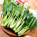 'Tingmei No.1' Baby Bok Choy Seeds, 20g
