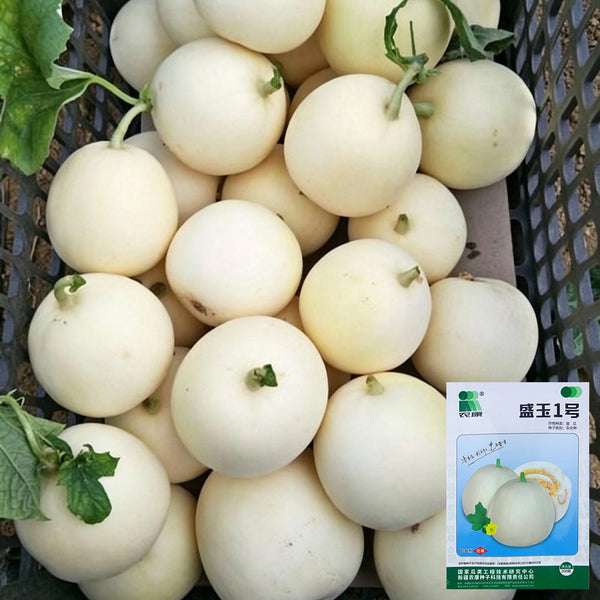 Shengyu No.1 F1 Melon, 200 Seeds