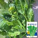 Lvyou No.12 Youcaitai Seeds, 10g