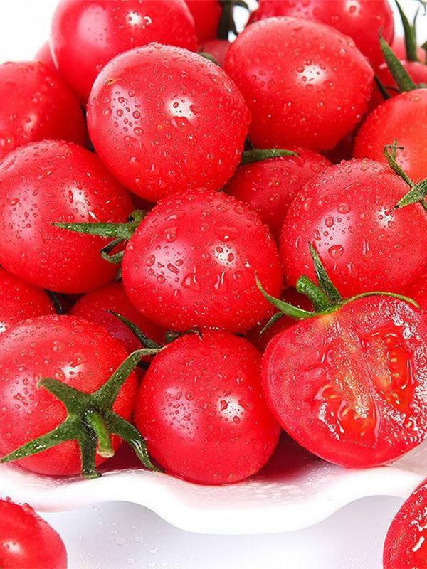 ‘Millennium’ Cherry Tomato Seeds, 200 Seeds