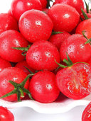 ‘Millennium’ Cherry Tomato Seeds, 200 Seeds