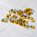51 Ovelia Tomato, 5 Seeds