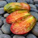 445 Green Tulip Tomato, 5 Seeds