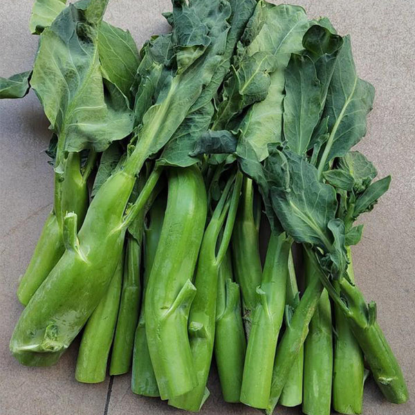 Yibao Japanese Mustard Greens Seeds, 10g