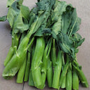 Yibao Japanese Mustard Greens Seeds, 10g
