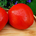 Lyuba's Red Heart Tomato, 5 Seeds