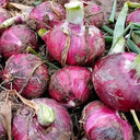 Zilu No.3 Purple Onion Seeds, 2 Grams ≈ 600 Seeds