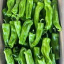Crisp Thin-Skinned Chili Seeds, 1g