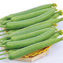 Long Fragrant Luffa Seeds, 5 × 5g Bags