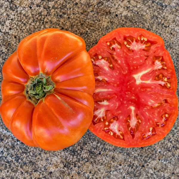 236 ABRIKOS Tomato, 5 Seeds