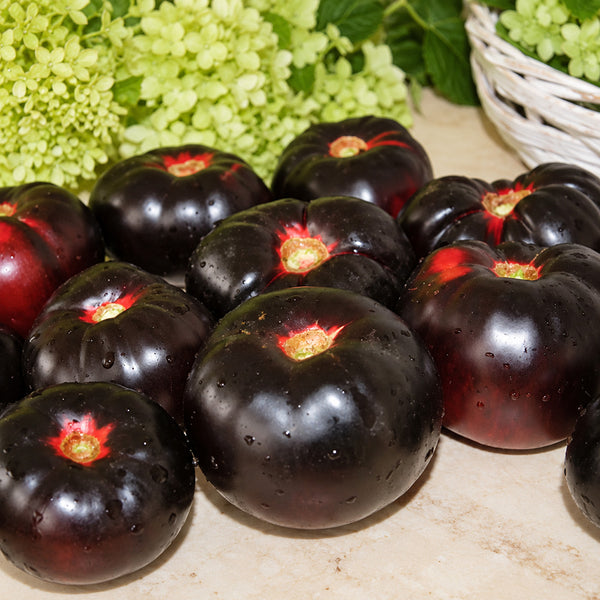 204 Amethyst Heart Tomato, 5 Seeds