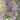 Fine-Leaf Purple Mustard Seeds, 10g
