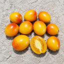 133 Dwarf Dream Weaver Tomato, 5 Seeds