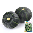 Green Beibei Pumpkin Seeds, 20 Seeds