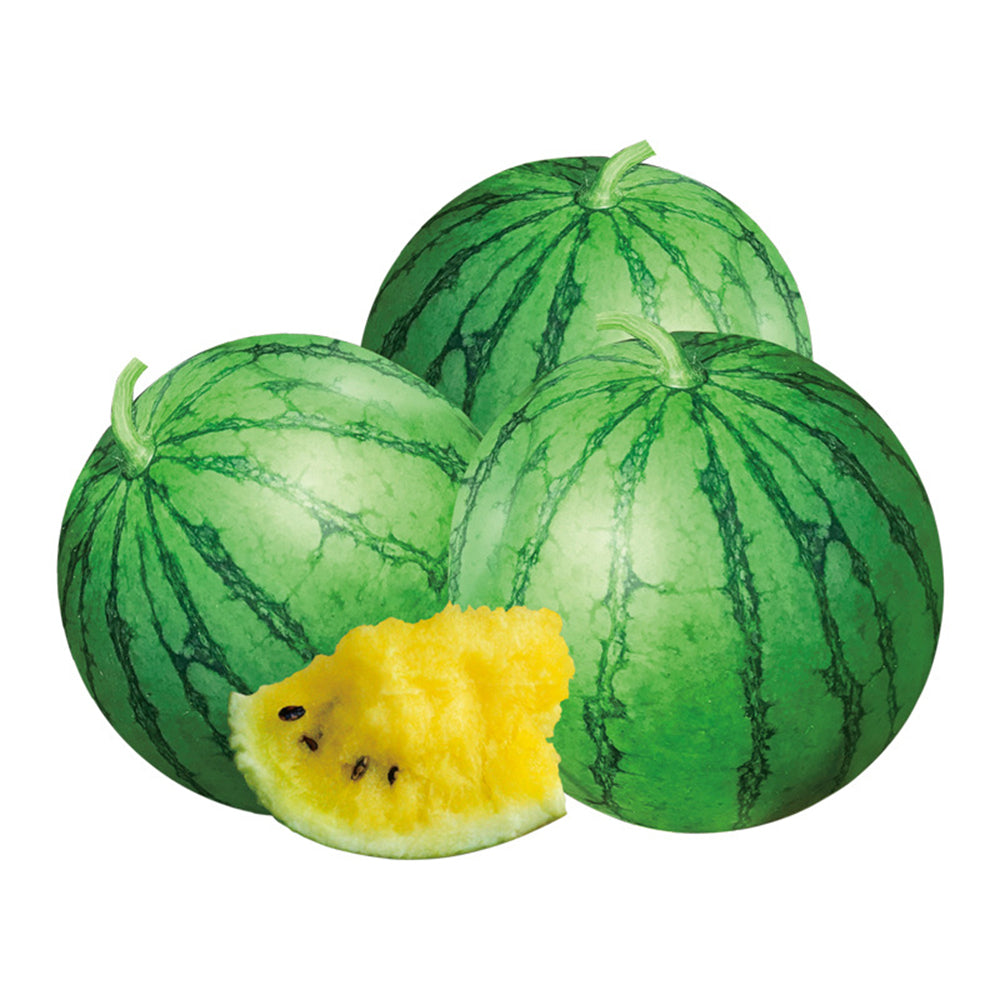 'Kylin Ice Cream' Watermelon Seeds