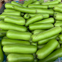 Guangpu 1701 Bottle Gourd Seeds, 100 Seeds