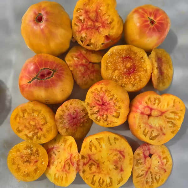 891 Nectar Syrup Tomato, 5 Seeds