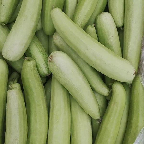 Yangchun White Melon Seeds, 50 Seeds