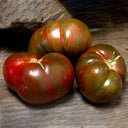 Big Cheef Steak Tomato, 10 Seeds