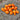 504 Orange Pear Tomato, 5 Seeds