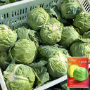 'Xingyou' Fruit Cabbage, 500 Seeds