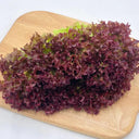 Purple Rosa Lettuce Seeds, 2g