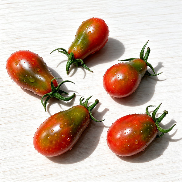 1158 Cinnamon Pear Tomato, 5 Seeds