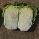 'Qiuguan 70' Chinese Cabbage Seeds, 10g