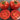 573 Micro Totem Tomato, 5 Seeds