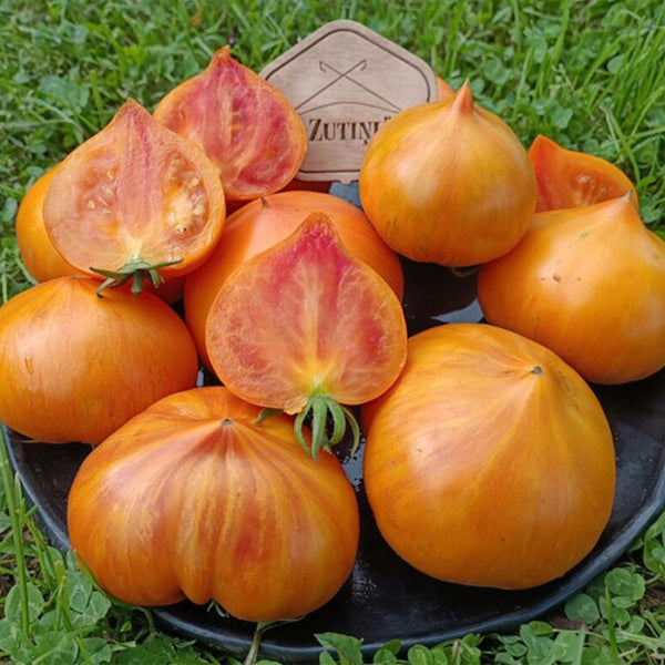 738 Rainbow Jazz Heart Tomato, 5 Seeds