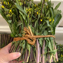 Curly-Leaf Red-Stem Chinese Kale Seeds, 10g