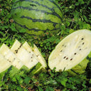 Snow Pear White Watermelon Seeds, 10g