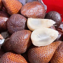 Salak Palm, 5 Seeds