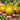 427 Lucinda Tomato, 5 Seeds