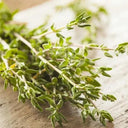 Mongolian Thyme Seeds, 250 Seeds