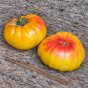 185 Tuxhorn's Red and Yellow Tomato, 5 Seeds