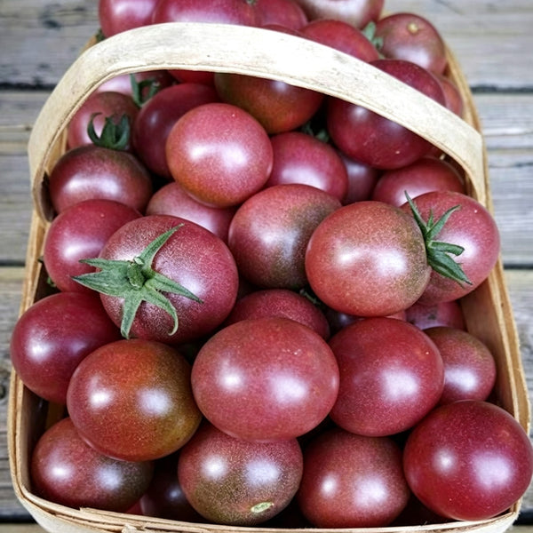 610 Reinhard Kraft's Purple Sugar Cherry Tomato, 5 Seeds